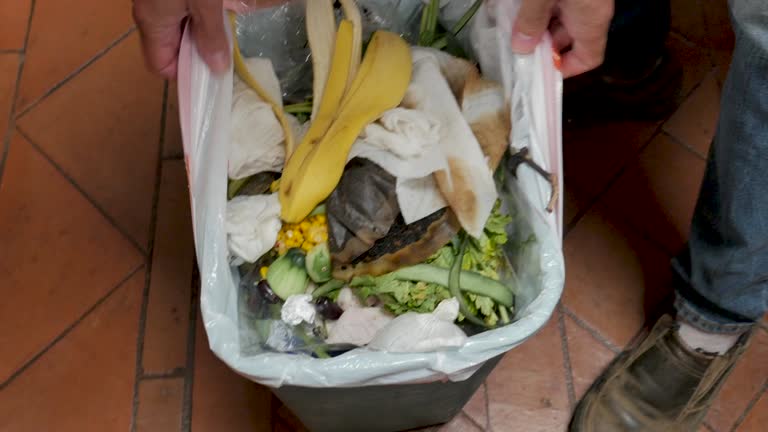 Best Hoarding Cleanup  in Raleigh, NC